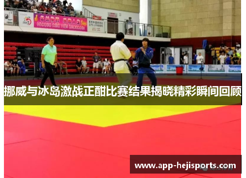 挪威与冰岛激战正酣比赛结果揭晓精彩瞬间回顾